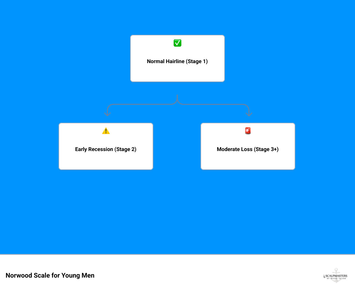 Norwood Scale stages for young men - infographic showing hair loss progression from stage 1 to 7 infographic