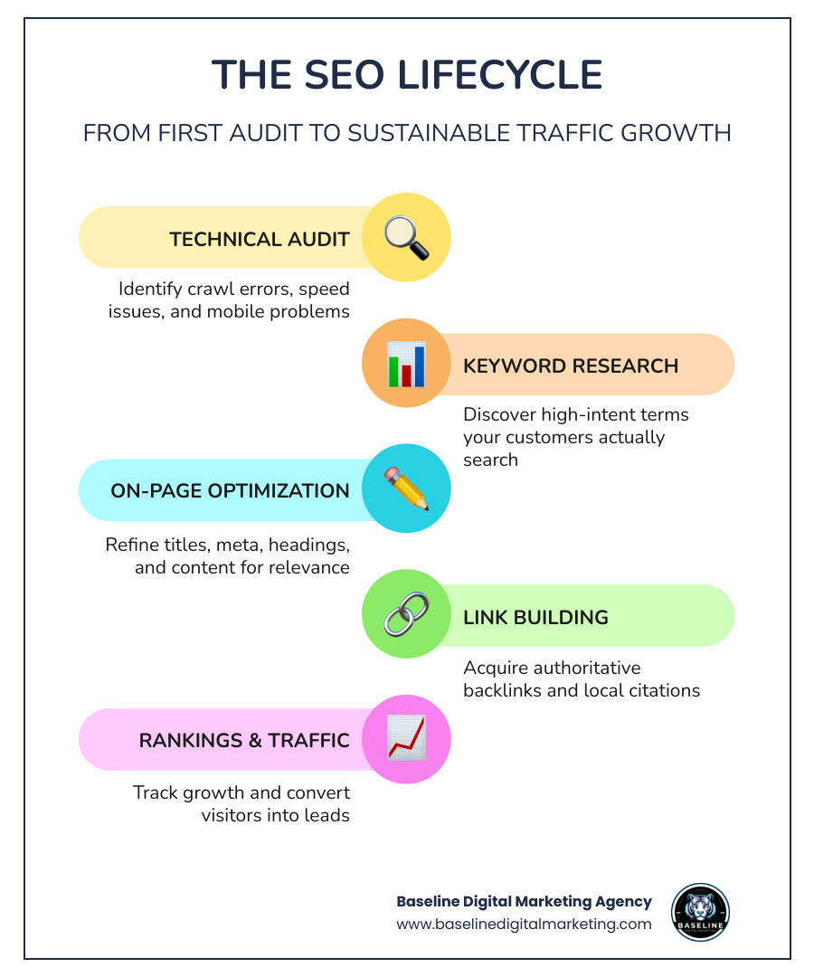 SEO lifecycle infographic showing steps from audit to rankings to traffic growth infographic