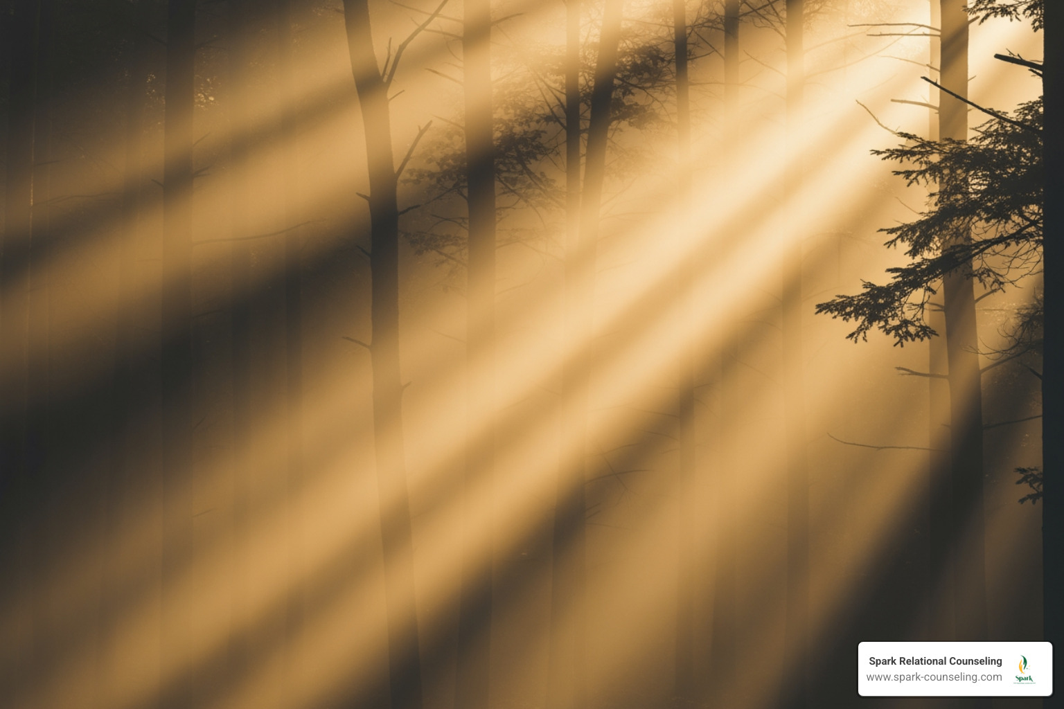 Minimalist amber-toned abstract of light filtering through trees Minimalist amber-toned abstract of light filtering through trees