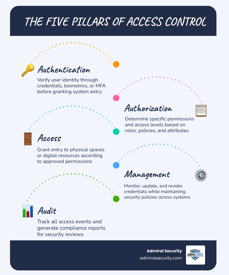 Five stages of access control lifecycle: Authentication, Authorization, Access, Management, Audit infographic
