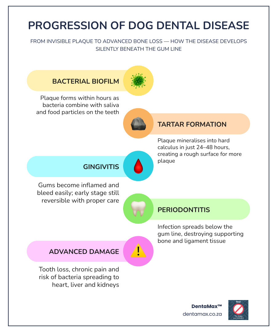 infographic showing silent progression of dog dental disease from plaque to tooth loss infographic
