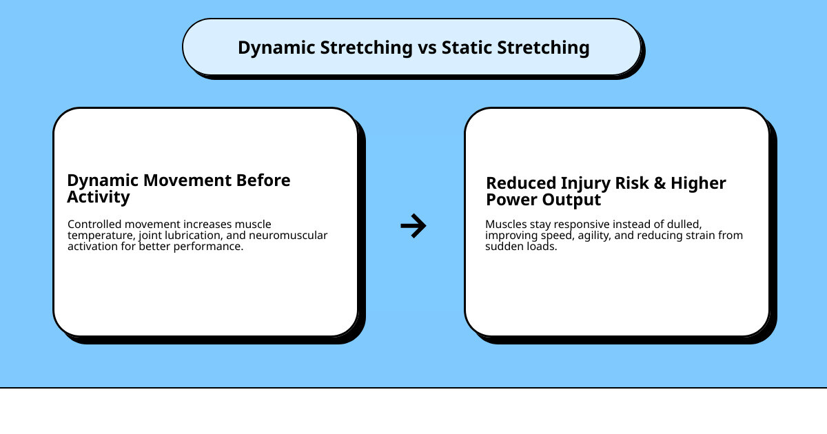 Infographic showing the impact of dynamic stretching on blood flow and muscle temperature infographic
