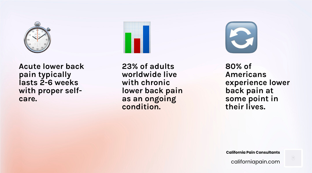 Acute vs. chronic lower back pain: key differences, timelines, and warning signs infographic infographic