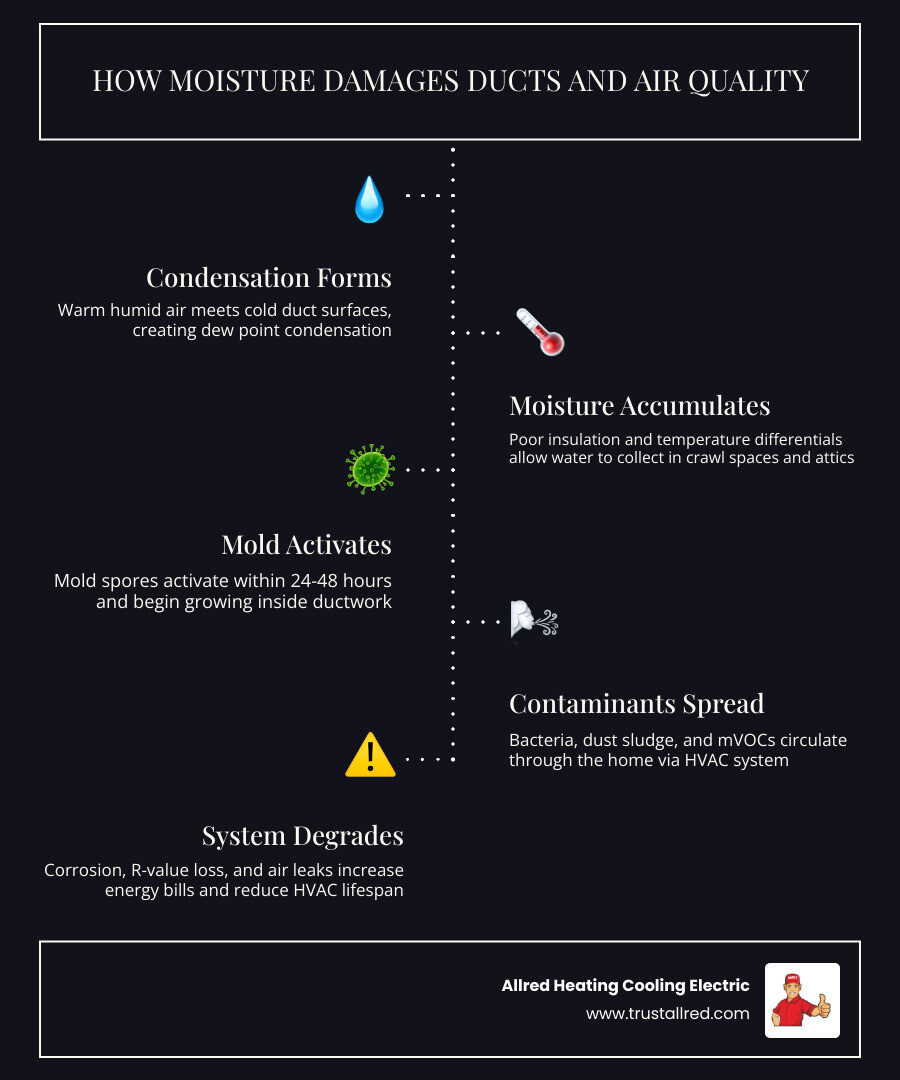 Infographic showing how duct moisture leads to mold growth, energy loss, and poor indoor air quality infographic Infographic showing how duct moisture leads to mold growth, energy loss, and poor indoor air quality infographic