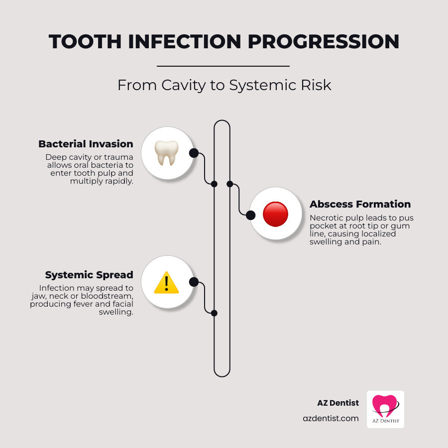 stages of tooth decay and abscess formation with antibiotic treatment decision points infographic
