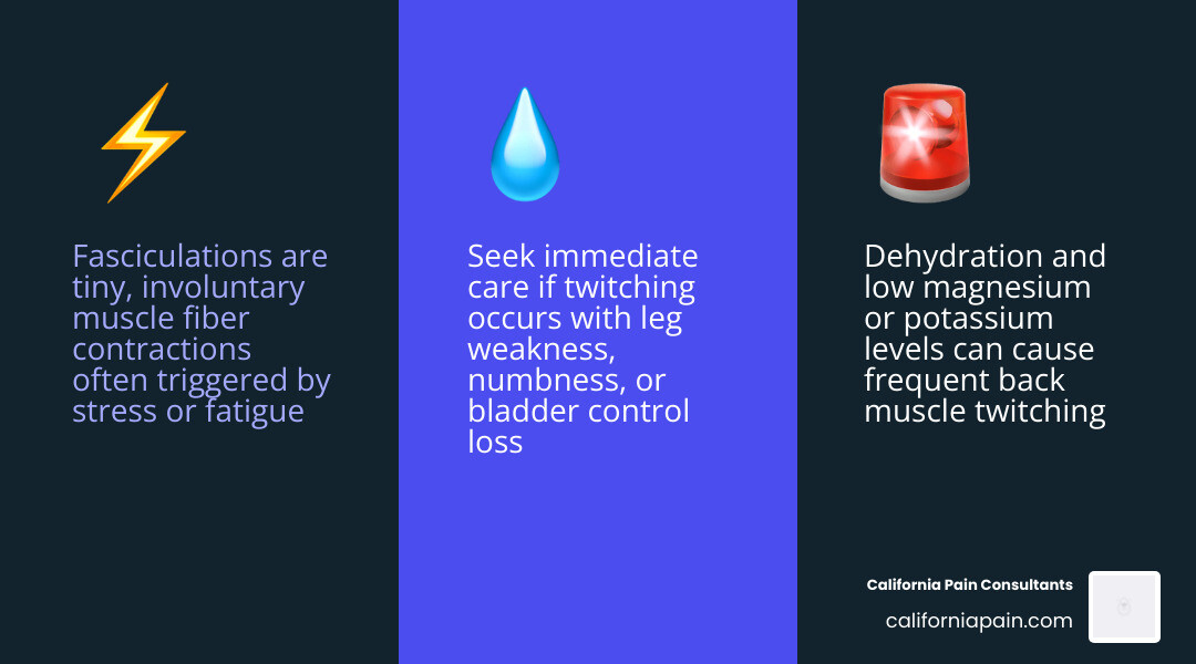 Infographic comparing muscle twitch vs full back spasm: causes, sensations, duration, and when to seek care infographic