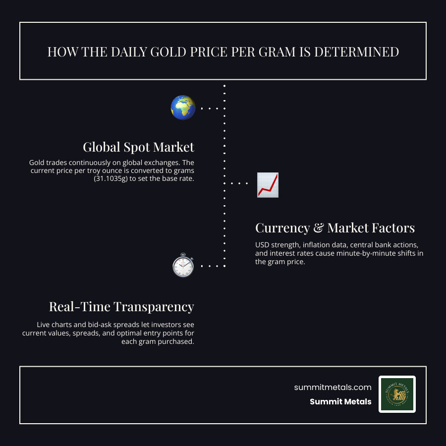 Infographic showing key drivers of daily gold price per gram fluctuations and how to track them infographic Infographic showing key drivers of daily gold price per gram fluctuations and how to track them infographic