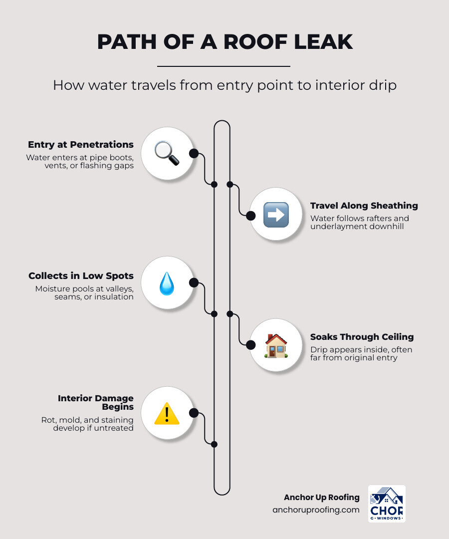 Diagram showing water path from roof entry point to interior ceiling drip, with common leak sources labeled infographic