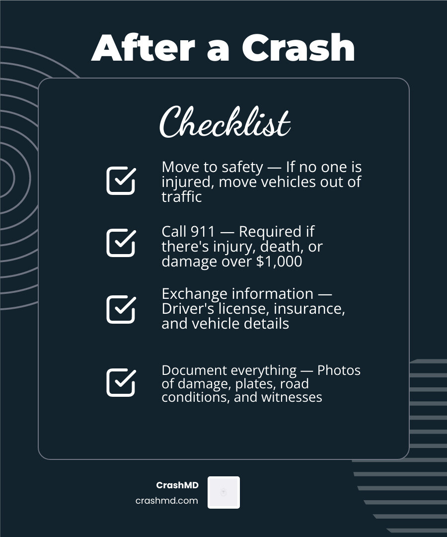 5 immediate steps after a Texas car accident infographic infographic 5 immediate steps after a Texas car accident infographic infographic