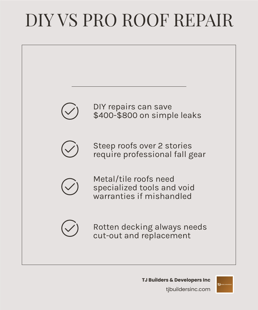 Infographic showing DIY vs Professional repair costs and safety levels infographic