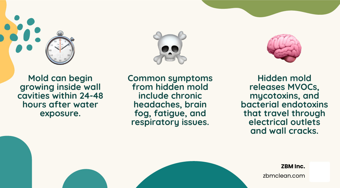 infographic showing 24-48 hour mold germination cycle, moisture wicking in walls, air quality impact, and health risk infographic showing 24-48 hour mold germination cycle, moisture wicking in walls, air quality impact, and health risk