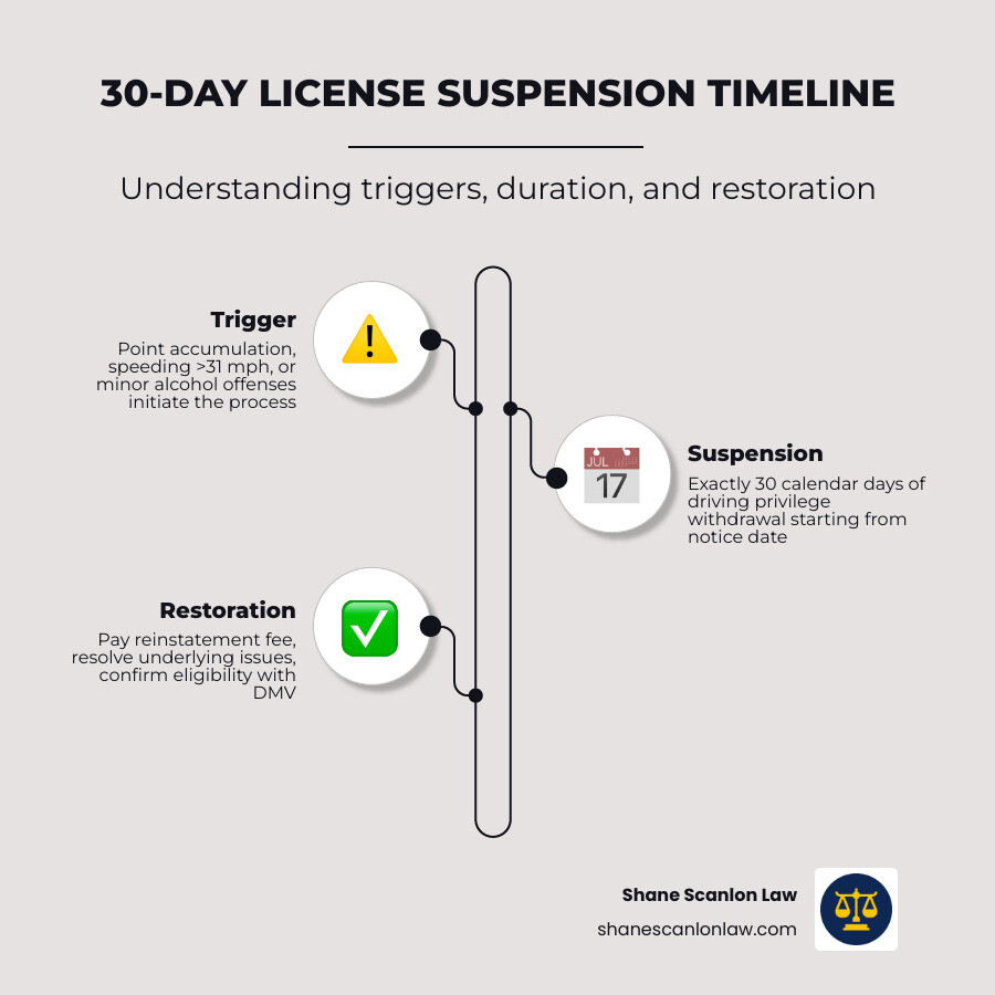 Timeline infographic showing 30-day suspension triggers, key dates, and step-by-step restoration process infographic Timeline infographic showing 30-day suspension triggers, key dates, and step-by-step restoration process infographic