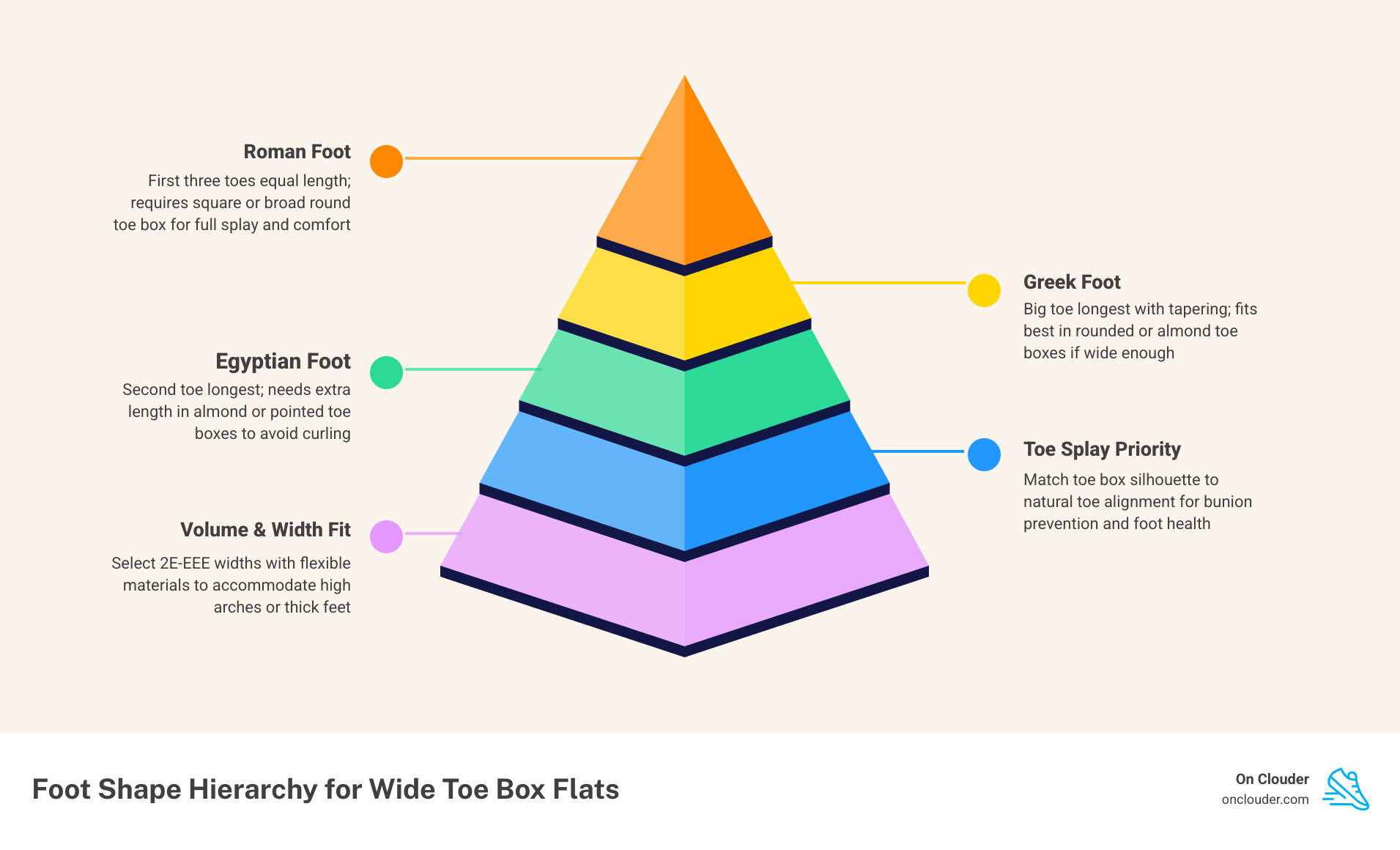 infographic showing Egyptian, Greek, and Roman foot shapes infographic infographic showing Egyptian, Greek, and Roman foot shapes infographic