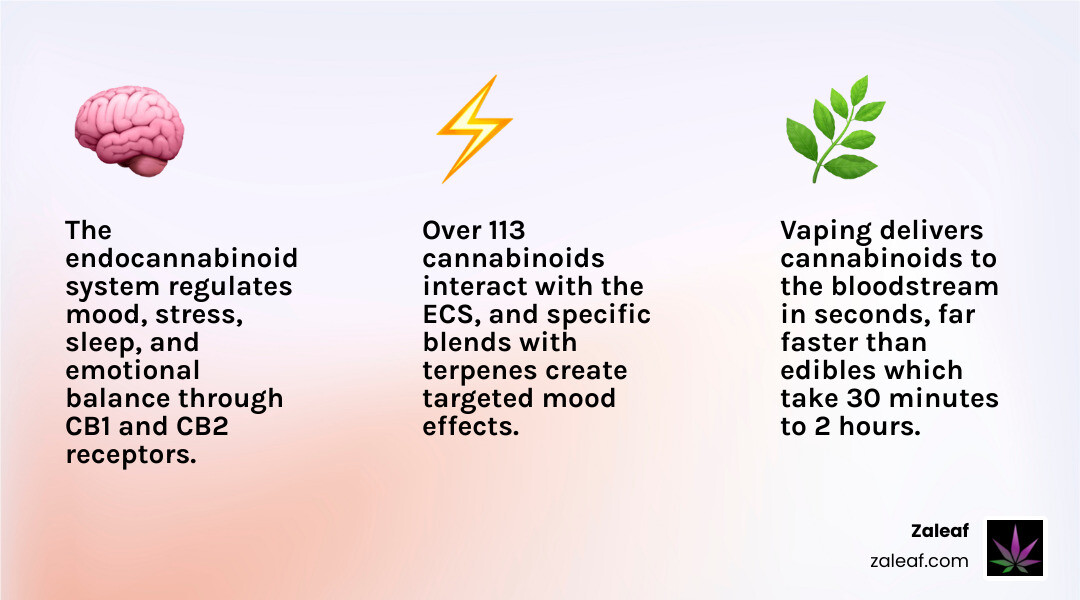 Infographic showing how cannabinoids and terpenes combine to create mood-specific effects in vape pens infographic