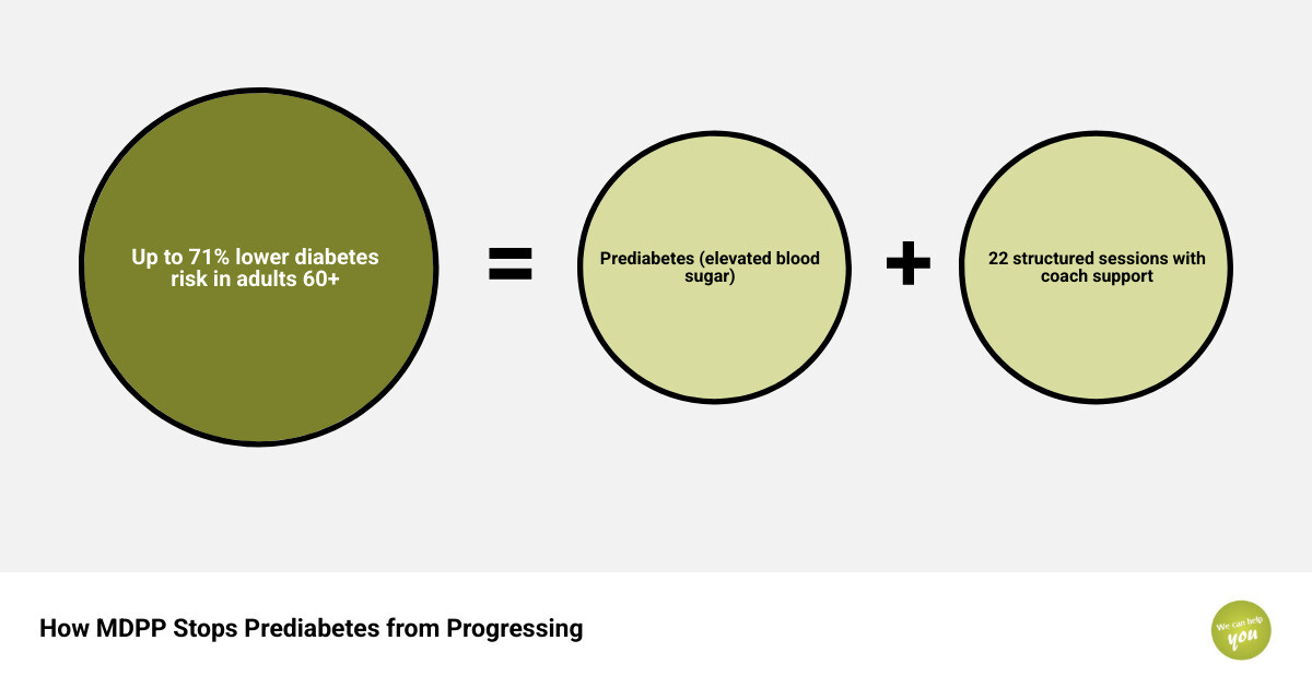 Infographic showing how MDPP stops prediabetes from progressing to type 2 diabetes through 22 sessions infographic