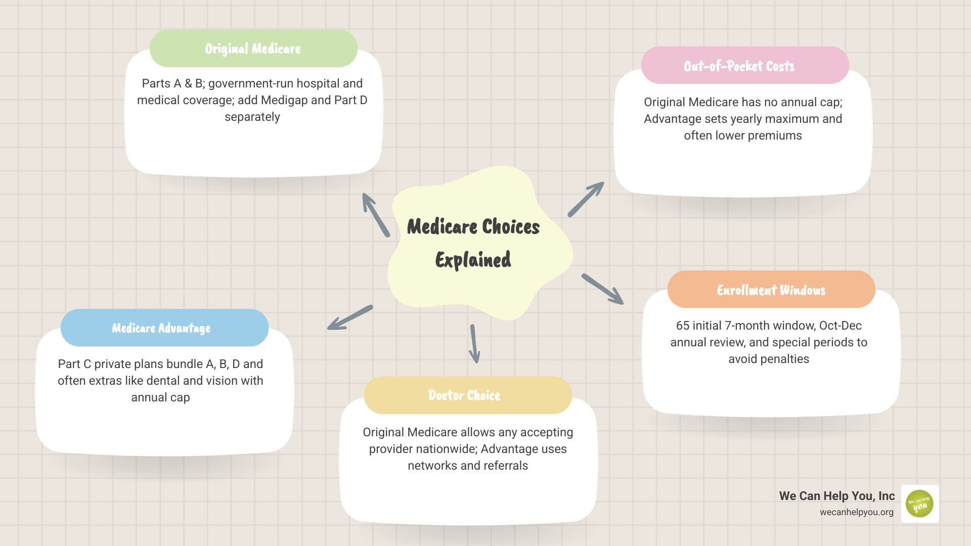 Two main Medicare paths infographic showing Original Medicare vs Medicare Advantage with key differences infographic