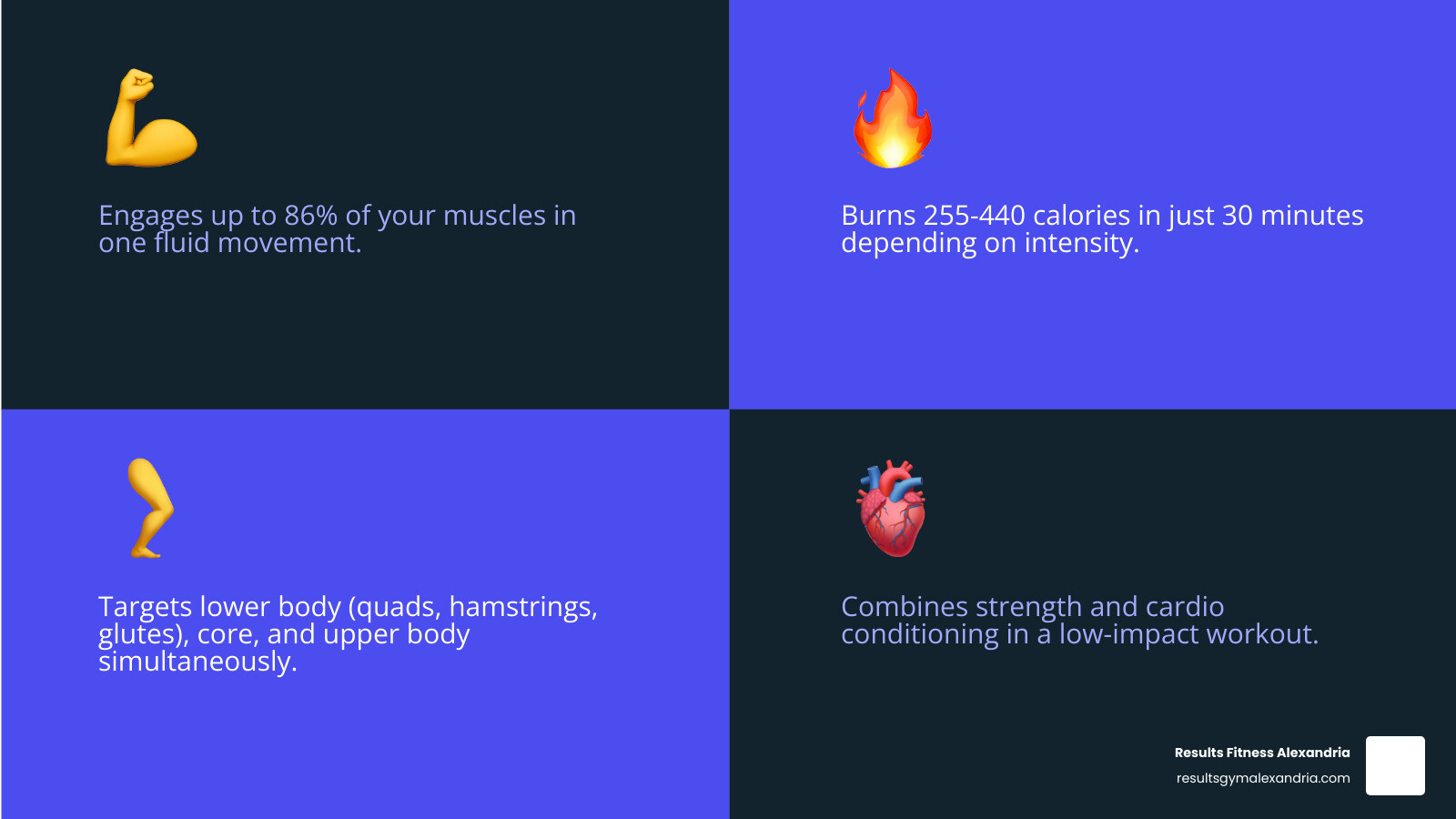Infographic showing rowing machine muscle engagement and four stroke phases: catch, drive, finish, recovery infographic Infographic showing rowing machine muscle engagement and four stroke phases: catch, drive, finish, recovery infographic