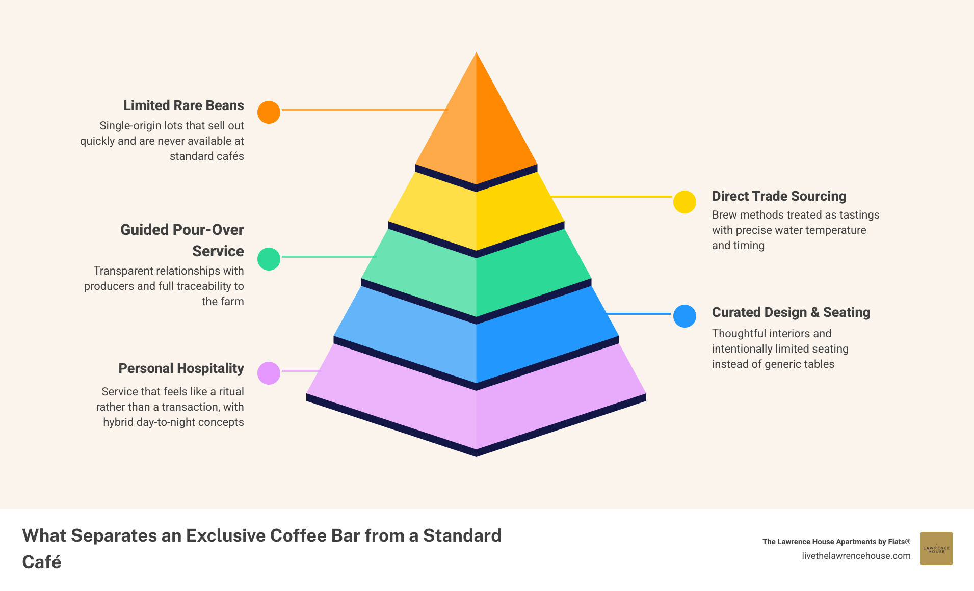 Infographic showing exclusive coffee bar vs standard cafe features infographic Infographic showing exclusive coffee bar vs standard cafe features infographic