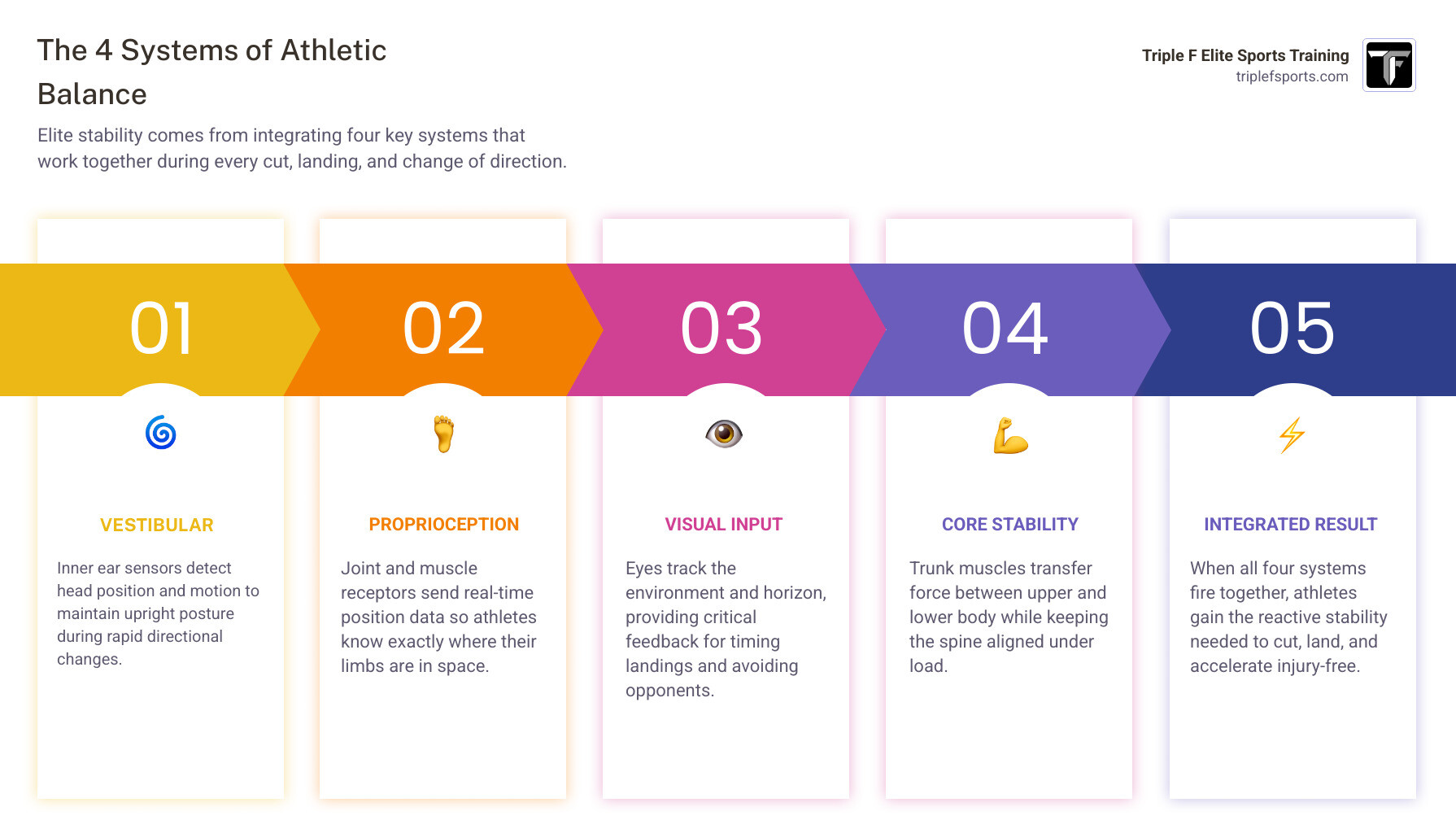 Infographic showing the 4 systems of balance: vestibular, proprioception, visual input, and core stability with athlete Infographic showing the 4 systems of balance: vestibular, proprioception, visual input, and core stability with athlete