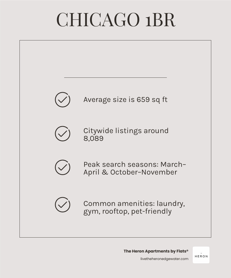 Infographic: Chicago 1BR apartment search guide with size, neighborhoods, amenities, timing, and platforms infographic