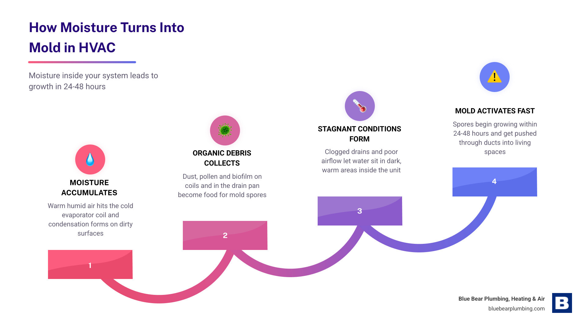 Infographic showing how moisture inside HVAC system leads to mold growth within 24-48 hours, step by step infographic Infographic showing how moisture inside HVAC system leads to mold growth within 24-48 hours, step by step infographic