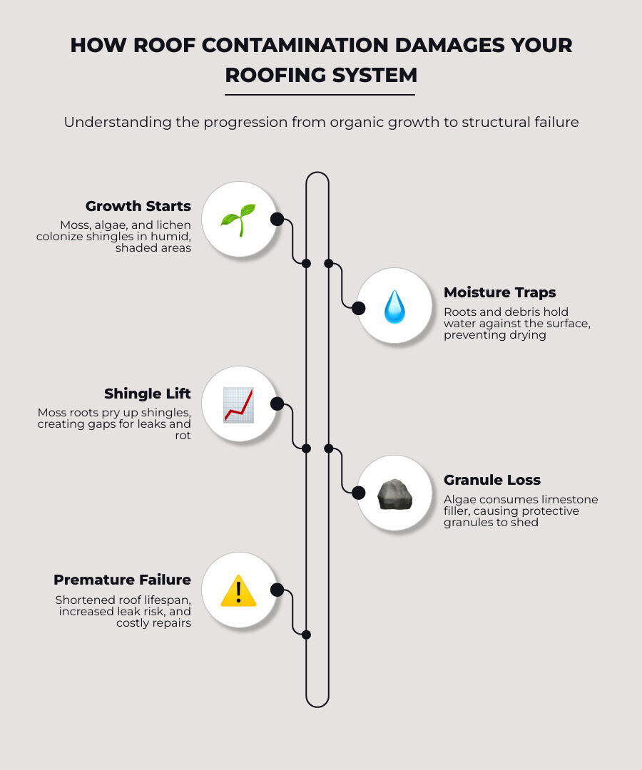 Infographic showing how moss, algae, and lichen damage roofing systems over time and reduce roof lifespan infographic Infographic showing how moss, algae, and lichen damage roofing systems over time and reduce roof lifespan infographic