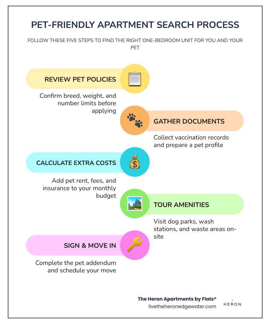 infographic showing the pet-friendly apartment search process with key steps and checklist items infographic infographic showing the pet-friendly apartment search process with key steps and checklist items infographic