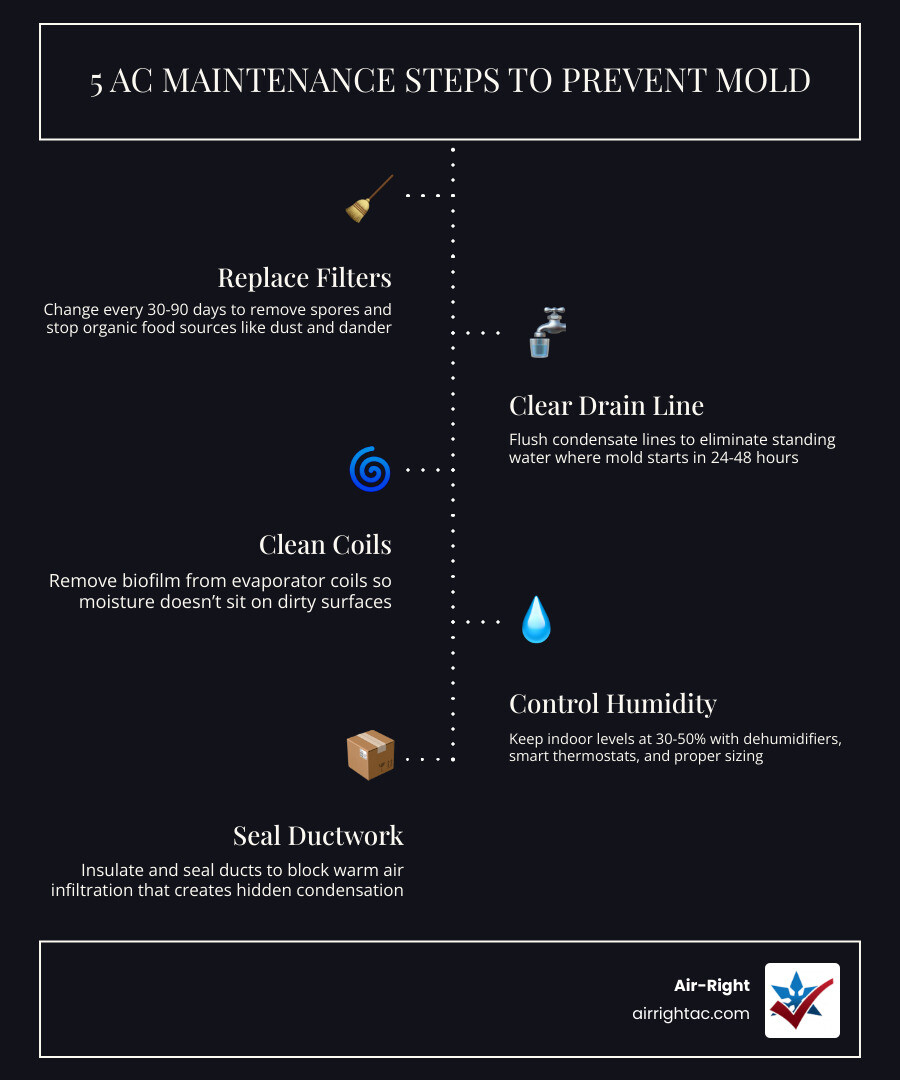 Infographic showing 5 AC maintenance steps that prevent mold growth and the 24-48 hour mold growth cycle in standing water