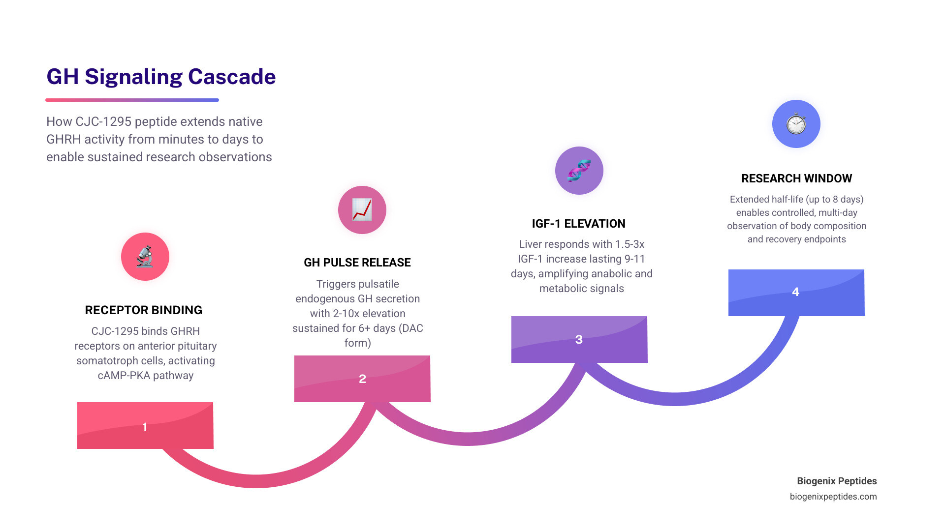 Infographic showing CJC-1295 interaction with GH/IGF-1 signaling pathway, DAC vs no-DAC half-life, and key research findings