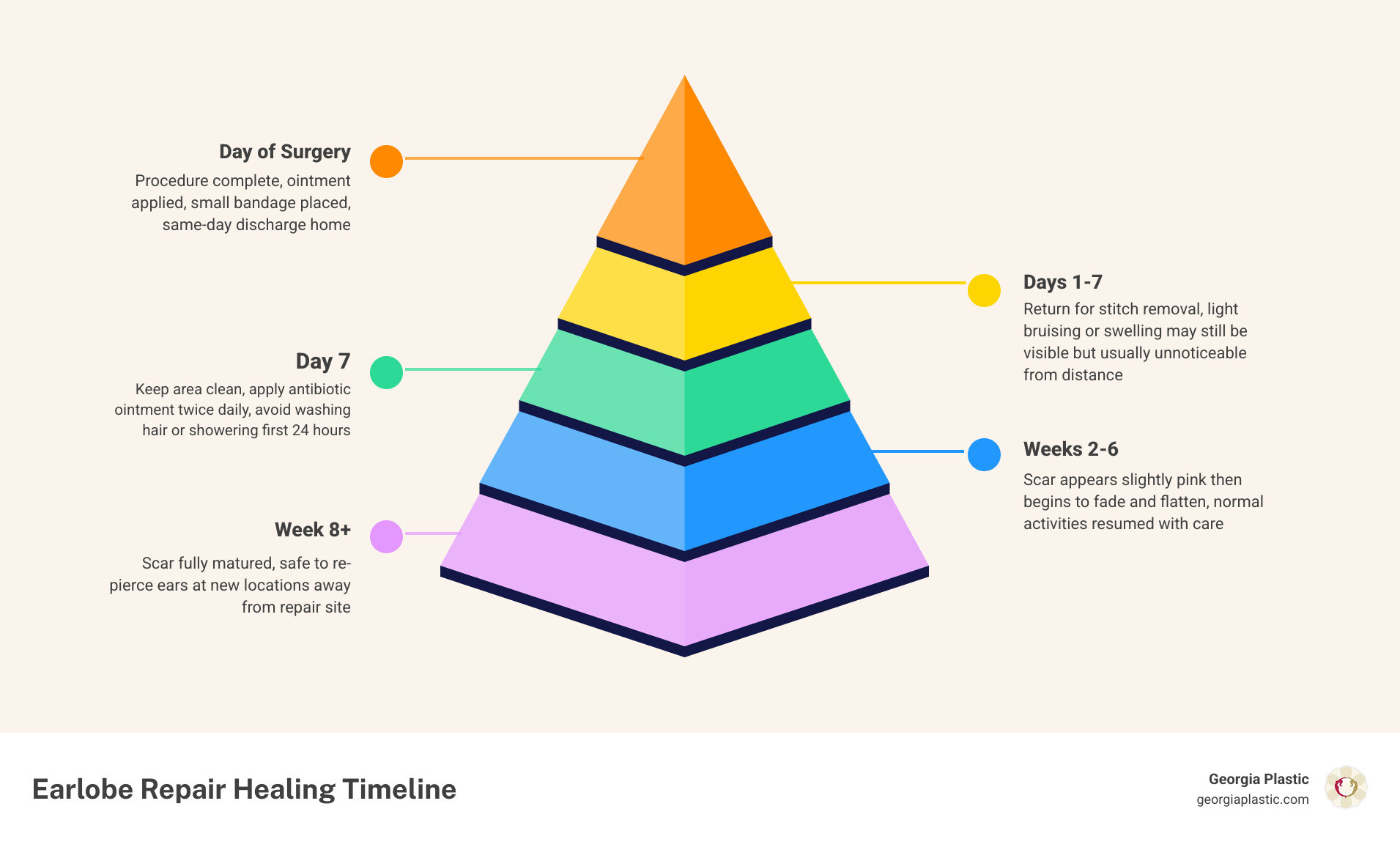 Infographic showing the healing timeline from day of surgery to re-piercing at 8 weeks infographic Infographic showing the healing timeline from day of surgery to re-piercing at 8 weeks infographic