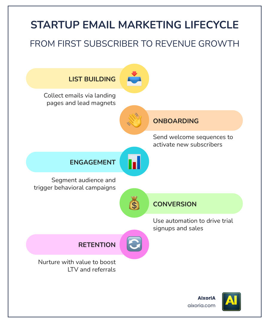 Startup email marketing lifecycle from list building to revenue conversion infographic infographic