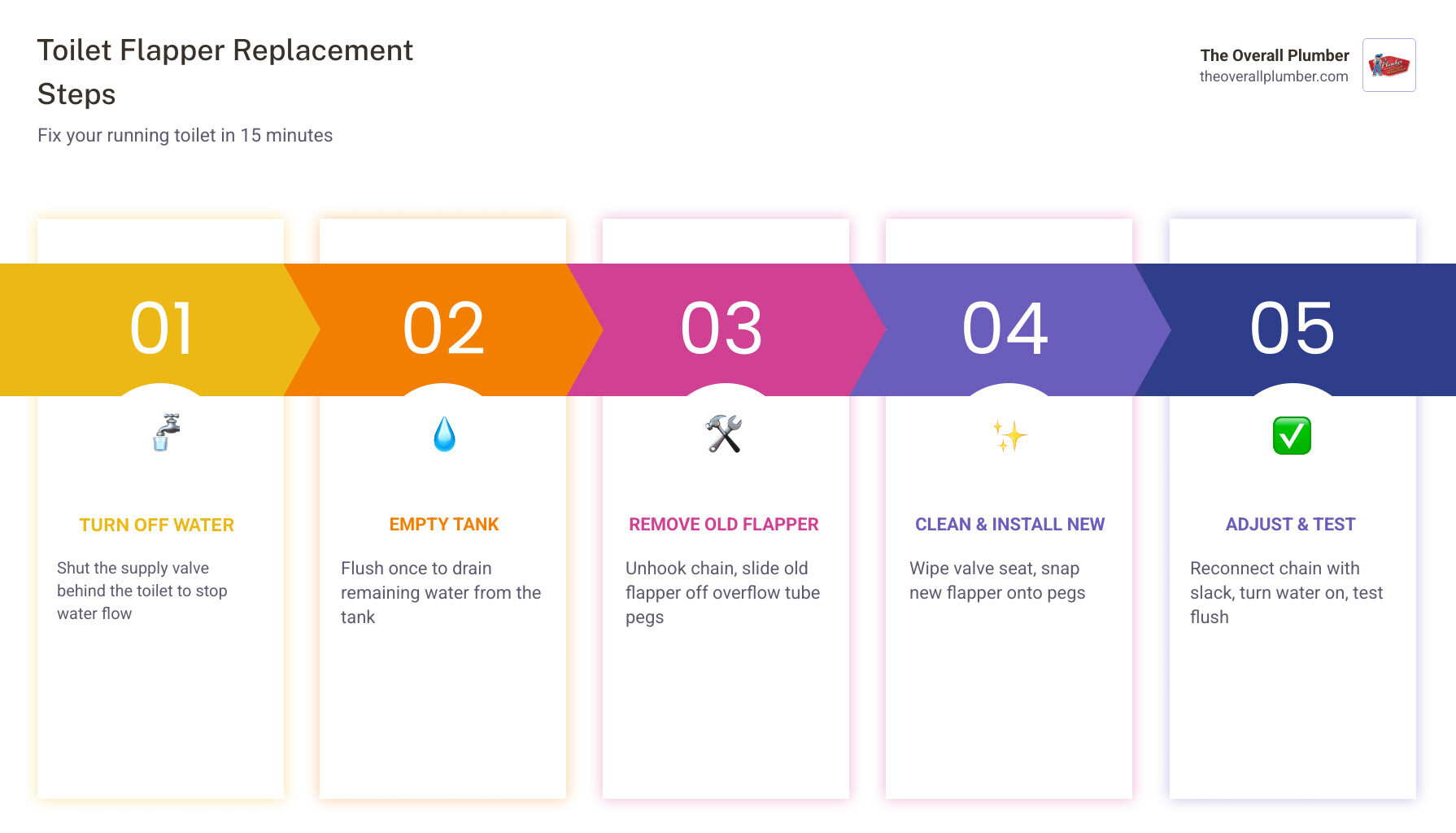 Infographic showing how a toilet flapper works, signs of failure, and 8 replacement steps infographic