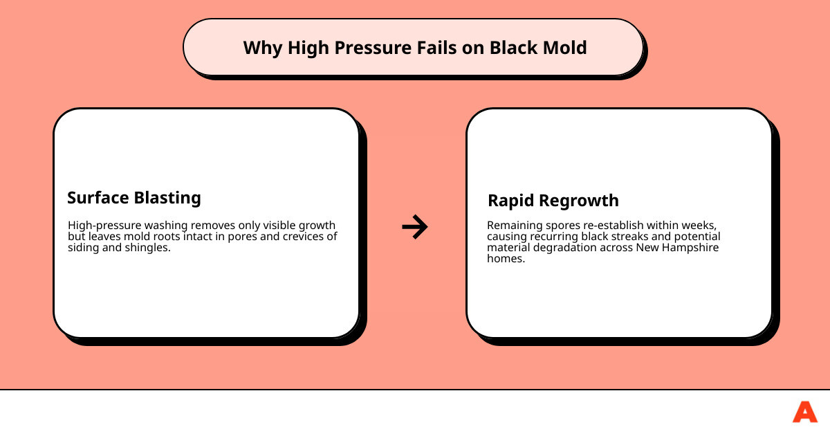 Soft washing vs pressure washing infographic showing PSI levels, mold kill depth, and result lifespan infographic