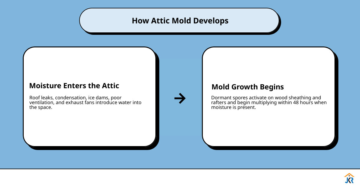 Infographic showing how attic mold spreads from moisture sources to wood sheathing and rafters infographic Infographic showing how attic mold spreads from moisture sources to wood sheathing and rafters infographic