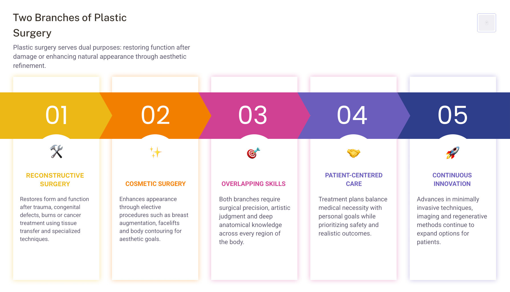 dual branches of plastic surgery infographic