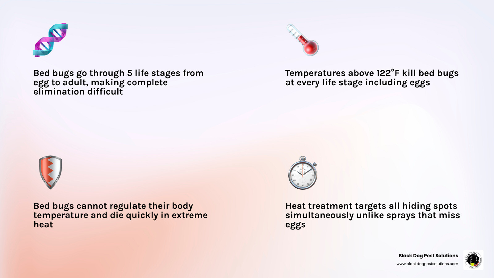 Infographic showing bed bug life cycle stages and heat sensitivity thresholds infographic Infographic showing bed bug life cycle stages and heat sensitivity thresholds infographic