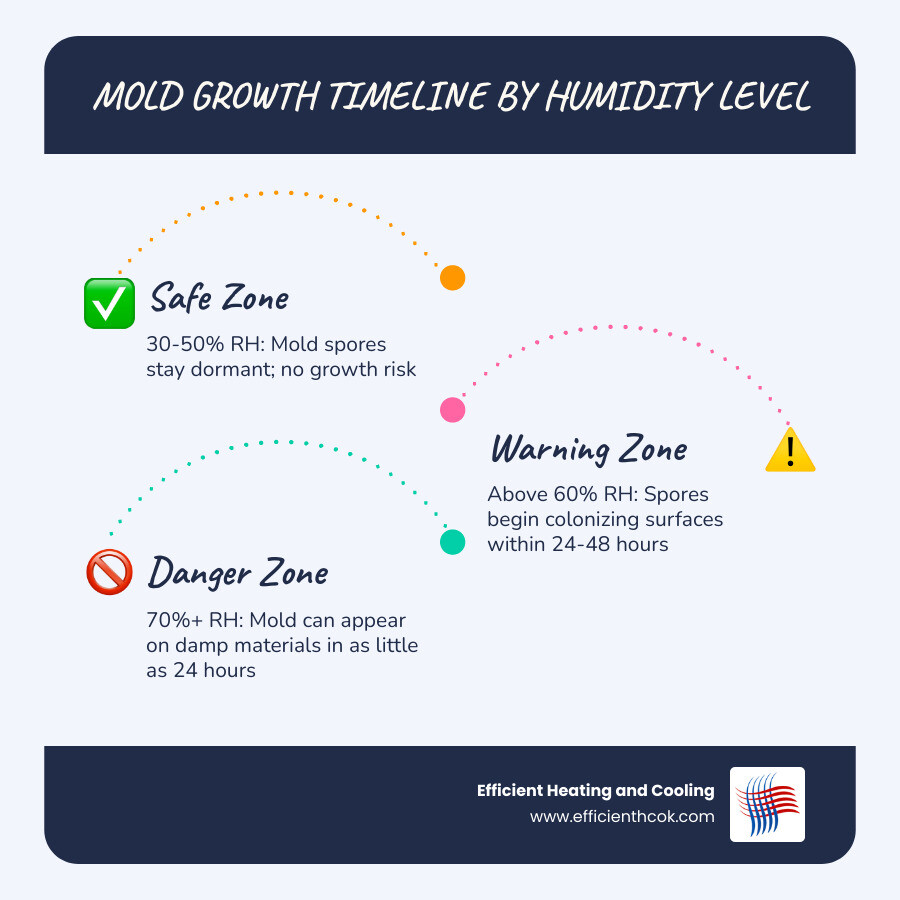 infographic showing relative humidity levels and mold growth risk from safe zone to high risk infographic