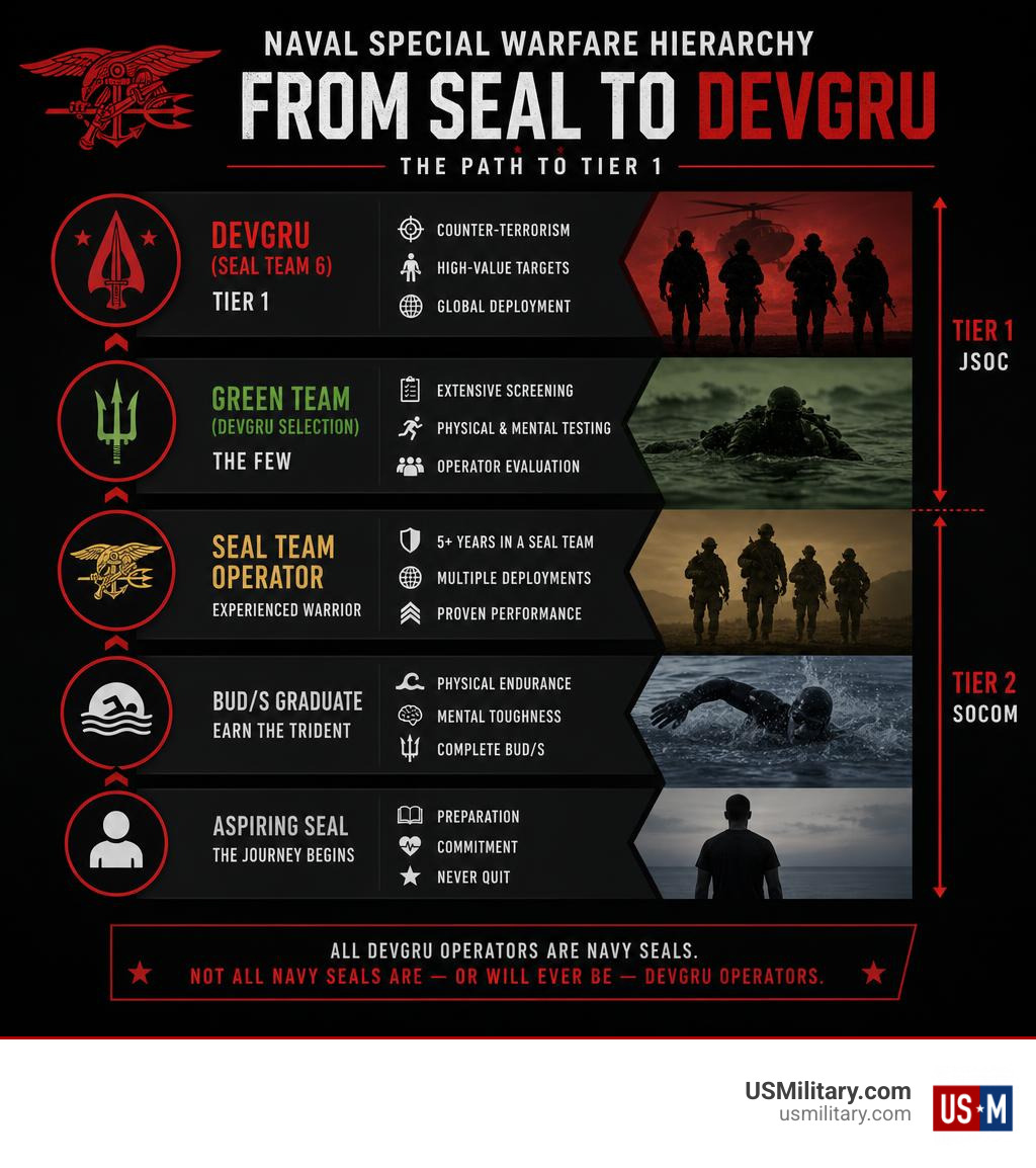 Infographic showing Naval Special Warfare hierarchy from regular SEALs to DEVGRU Tier 1 status infographic