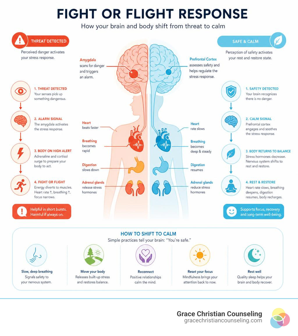 fight-or-flight-response-stress-4-fs-explained