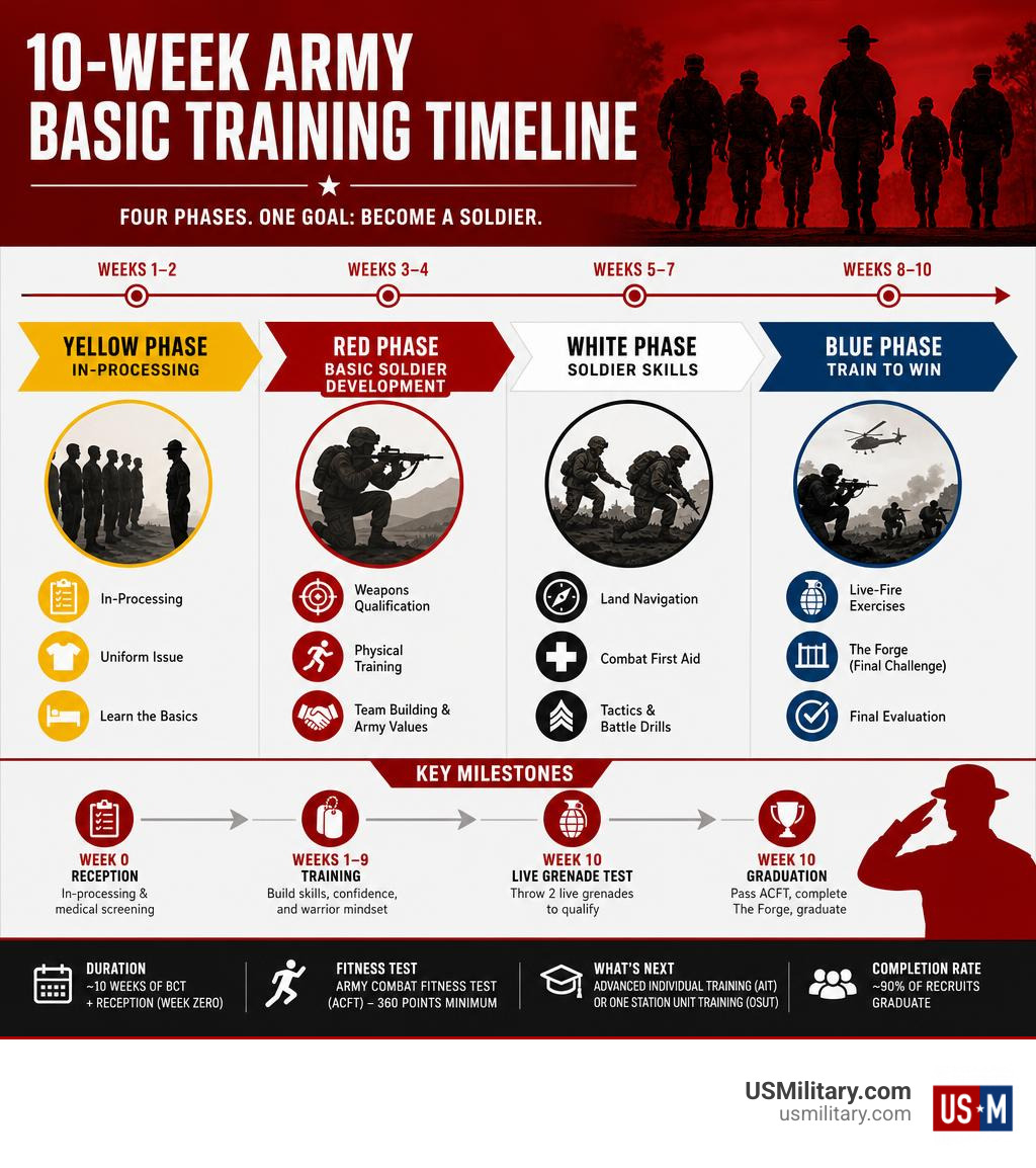 Infographic showing the 10-week Army Basic Training timeline with four phases and key milestones infographic Infographic showing the 10-week Army Basic Training timeline with four phases and key milestones infographic