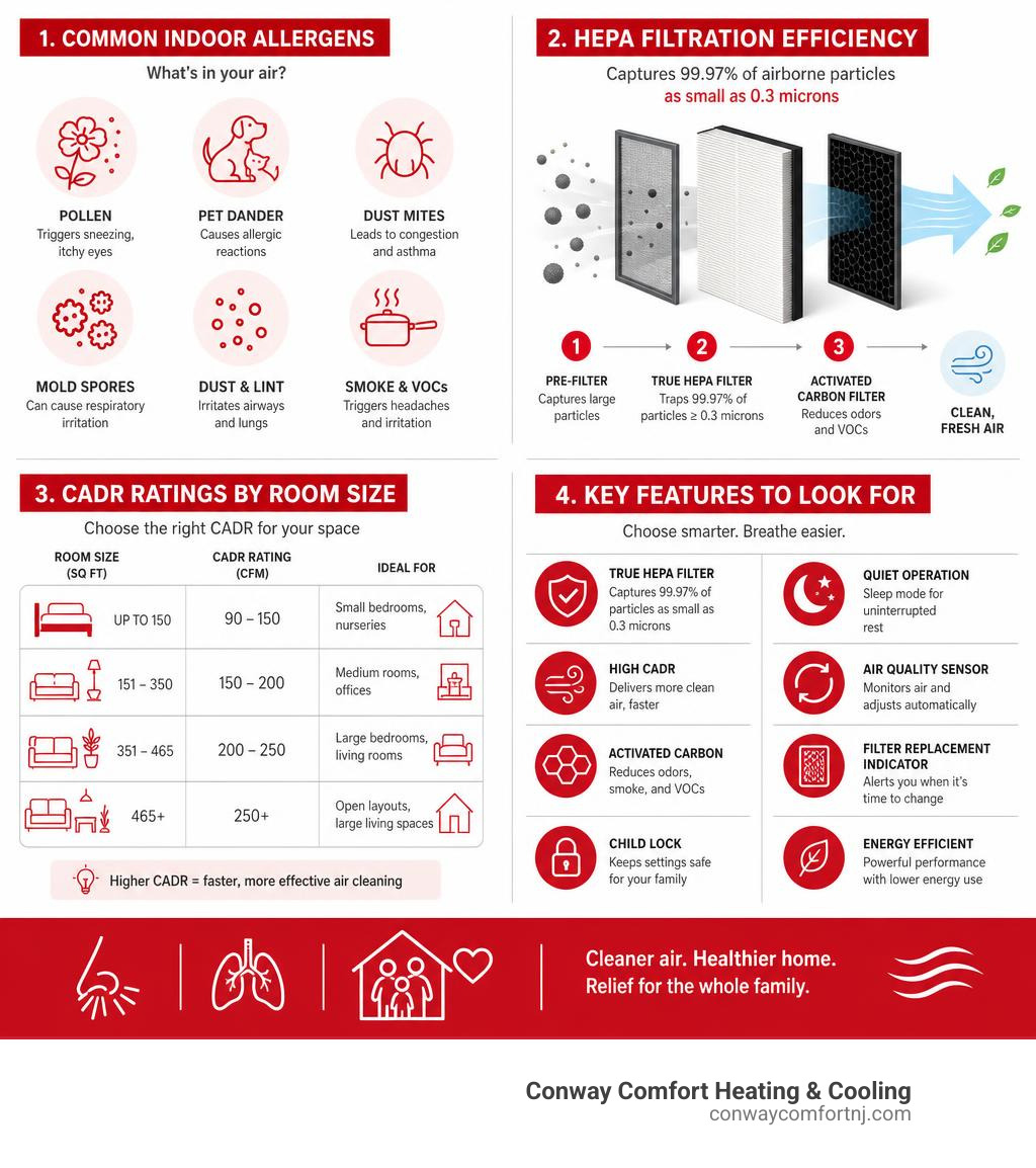 Infographic showing common indoor allergens, HEPA filtration efficiency, CADR ratings by room size, and key features to look