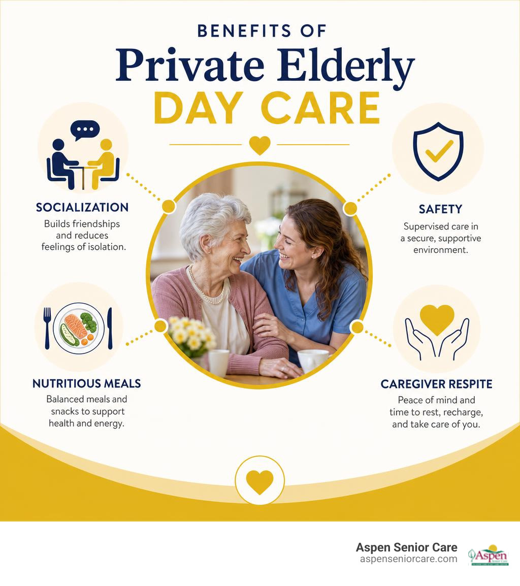 Benefits of private elderly day care including socialization, safety, meals, and caregiver respite infographic