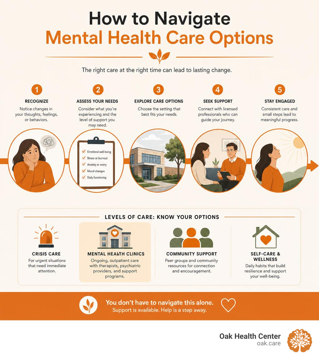 Infographic explaining how to navigate mental health care options infographic Infographic explaining how to navigate mental health care options infographic
