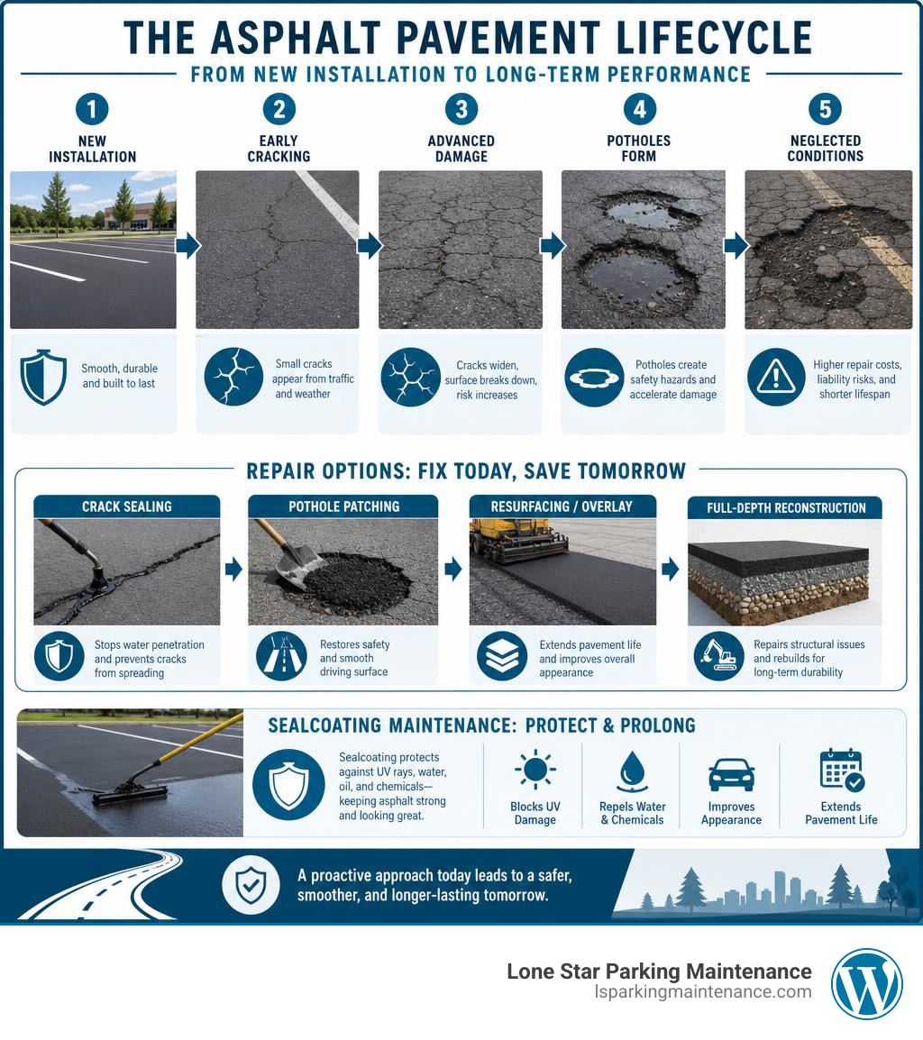 Infographic showing asphalt pavement lifecycle from new installation through cracking, pothole formation, repair options Infographic showing asphalt pavement lifecycle from new installation through cracking, pothole formation, repair options