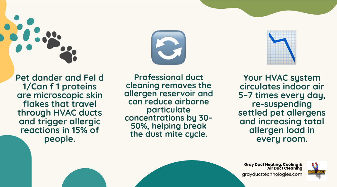 Infographic showing how pet dander circulates through HVAC ductwork and triggers allergy symptoms in Twin Cities homes