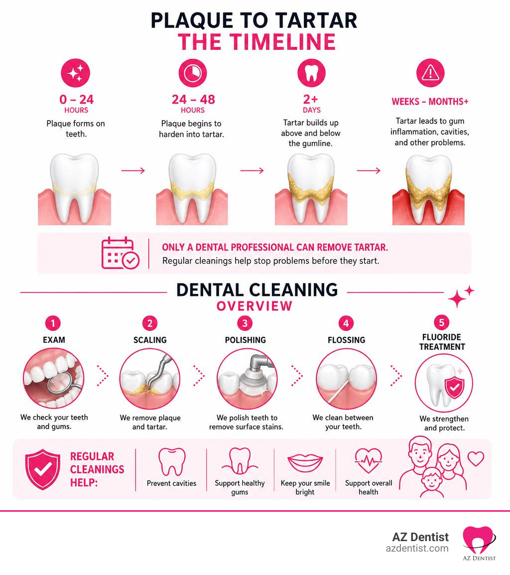 Infographic showing plaque to tartar timeline and dental cleaning overview infographic