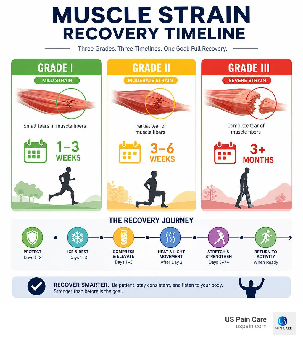 Infographic showing muscle strain recovery timeline from Grade I (1-3 weeks) to Grade III (3+ months) infographic pulled muscle
