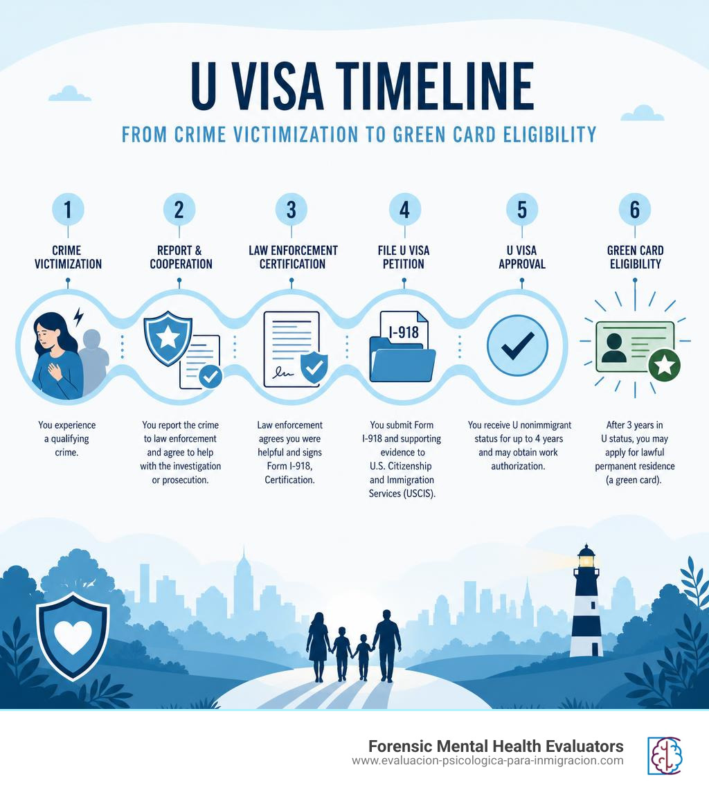 U visa timeline infographic showing steps from crime victimization to green card eligibility infographic