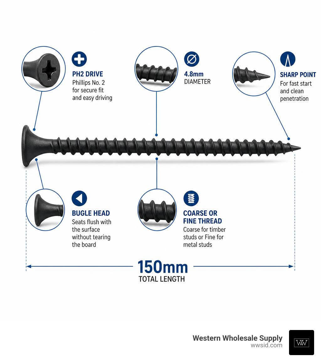 Infographic showing anatomy of a 150mm drywall screw: bugle head, PH2 drive, 4.8mm diameter, coarse or fine thread, sharp Infographic showing anatomy of a 150mm drywall screw: bugle head, PH2 drive, 4.8mm diameter, coarse or fine thread, sharp