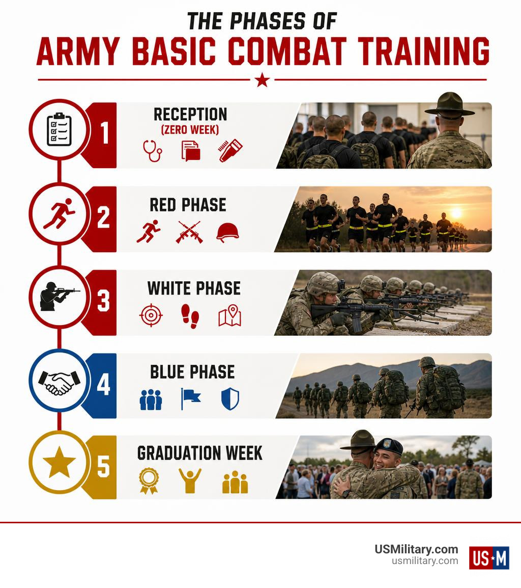 Infographic showing Reception, Red Phase, White Phase, Blue Phase, and Graduation Week infographic
